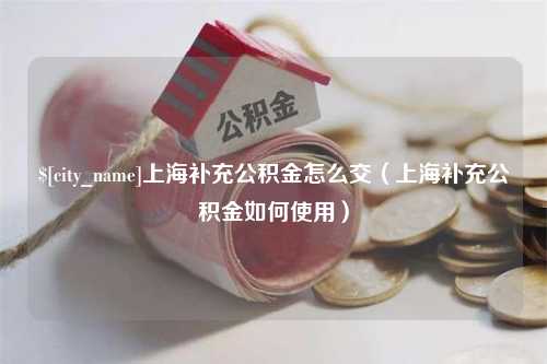 洛阳上海补充公积金怎么交（上海补充公积金如何使用）