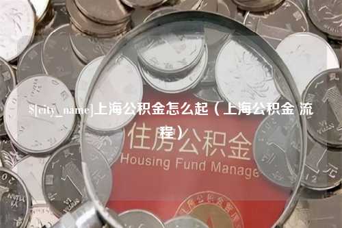 洛阳上海公积金怎么起（上海公积金 流程）